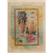 African Flowers Hands Geography Map Rare Postcard