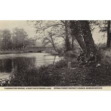 Fishing Under Passingford Bridge Epping Forest Postcard