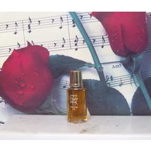 Aviance Night Musk Perfume Oil 0.25 OZ. Free Shipping.