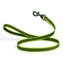 Rubber Infused Nylon Leash W3/4" x L 4' Green