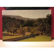 MONK HILL, JERVAULX ABBEY, YORKSHIRE... unused postcard English Life #