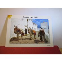 DONKEYS, MIJAS, COSTA DEL SOL. used postcard.1997 postmark =
