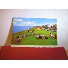 THE SLOPES, TANKERTON, WHITSTABLE, KENT unused postcard dated 1968 =