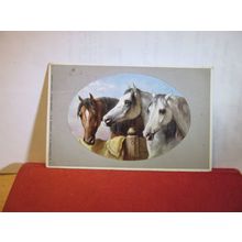 3 x HORSES HEADS used antique postcard by Faulkner =