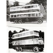 London Road Nottingham Bus Transport 2x Old PB Postcard Photo s
