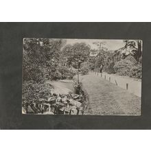 Postcard Yorkshire Sheffield Endcliffe