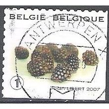 Belgique 2007 Michel 3747 O Cote (2008) 1.70 € Mûres Cachet rond
