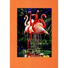 Watchful Flock - Tree Free Greetings - 11642