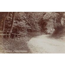 Country Winding Road in Kirkdale Kirkbymoorside Antique Real Photo Postcard