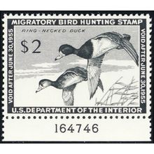 RW21, Mint NH XF/Superb $2 Duck Stamp - PSE Graded 95 * Stuart Katz