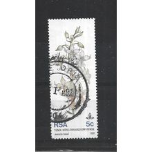 SouthAfrica.SG498 5c Calanthe natalensis.Fine Used.Sep25j