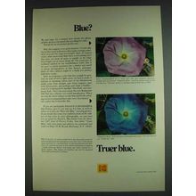 1978 Kodak Kodacolor 400 Film Ad - Blue? Truer Blue