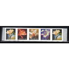 3462-3465 34c Lilies Very Fine MNH PNC B1111/5 PAL4141