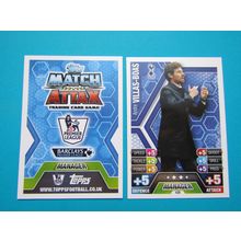 438. Andre Villas-Boas - Tottenham - Match Attax 2013/14 Football Card EF1