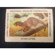 ICOLLECTZONE US National Wildlife Federation River Otter NGAI