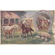 Moss Horse Cattle Manure Sheep Farm Litter Antique London Advertising Postcard