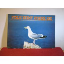 SEAGULL, PUBLIC ENEMY, used postcard by John Hinde BIRDS animals =