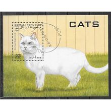 Somalia 1997 ANIMAUX UN CHAT BLANCO BLOC BLITERE ( USED )
