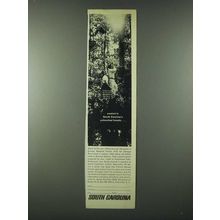 1963 South Carolina Tourism Ad - Untouched Forests