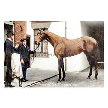 ptc9696 - Yorks - "Swynford" the 1910 St. Leger Winner, Doncaster - print 6x4