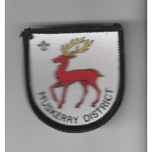 Scout Badge Ireland - Muskerry District - White Back (BY151)