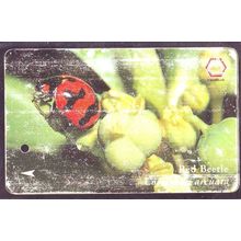 Coceinella Arcuata Red Bettle S'pore TransitLink Train/Bus Card