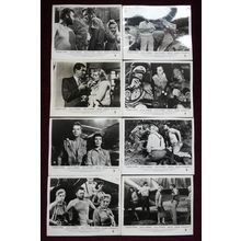 BACK FROM ETERNITY (1956) 7 UK FOH / Lobby cards ***Robert Ryan, Anita Ekberg***