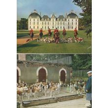 Chateau De Chambord Cheverny Dog Training Fox Hunt 2x Postcard s