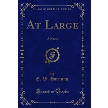 At Large: A Novel (Classic Reprint)