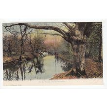 On the Stream near Brockenhurst Postcard Hampshire FGO Stuart 1124