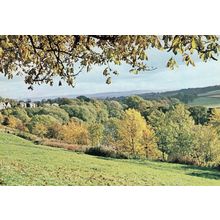 The Tees Valley Hill Panoramic Rare 1980s Durham Postcard