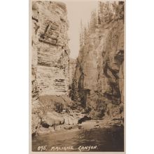 Maligne Canyon Jasper Park Canada Rare Mint Antique Postcard