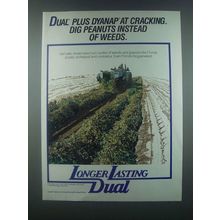 1985 Ciba-Geigy Dual Plus Dyanap Ad - Dig Peanuts