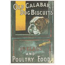 Old Calabar Dog Biscuits Advertising Postcard