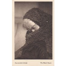 Pensioner Near Dead Lady In Black Shawl Antique Fashion Postcard