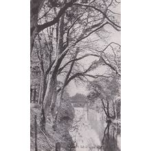 EC980 LOVERS WALK, ISLE OF MAN . PRINTED POSTCARD
