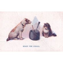Ready For Dinner Cat Dog Cooking Cookery Panel Antique Postcard