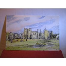 RABY CASTLE, STAINDROP, County Durham by N. Brewster large unused postcard #