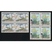 Greenland Flowers 2v Block of 4 1989 MNH SG#199+203 MI#197-198 Sc#191+196