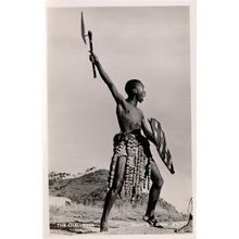 Zulu Warrior Battle Victory Shout The Challenge South Africa RPC Postcard