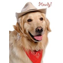 Howdy! - Hello Greeting Card - 00788