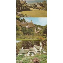Selworthy Green Somerset 3x Stunning Postcard s