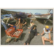Fish Market Traders At Canary Islands Spain Spanish Postcard