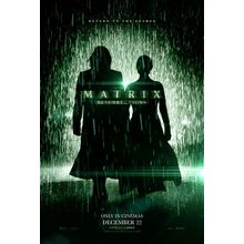 The Matrix Resurrections 4 Poster Canvas Movie Film Print A0 A1 A2 A3 A4 A5 A6 A