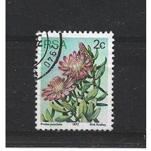 SouthAfrica.SG415 2c Protea Punctata.Fine Used.Sep25b