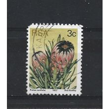 SouthAfrica.SG416 3c Protea Neriifolia.Fine Used.Sep25b