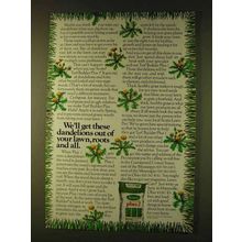 1979 Scotts Turf Builder Plus 2 Ad - Get Dandelions Out