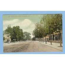 New Jersey Flemington Main St Looking North Tree Lined Street Scene w/Old ~802