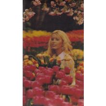 Dutch Lady Picking Flowers Three Dimensional Holland Postcard