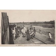 Djibouti African Rail Road Train Antique Postcard